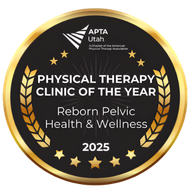 Physical Therapy Clinic of the Year 2025